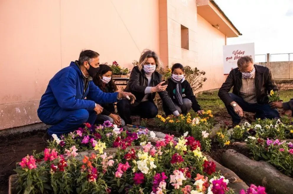 Pacto de Pelotas: Mujer que Recupera la Paz para su Ciudad