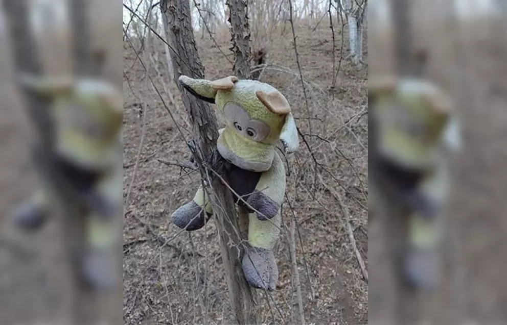 VIDEO: ¿Ya conoces el callejón de los Peluches en Concordia, Sinaloa?