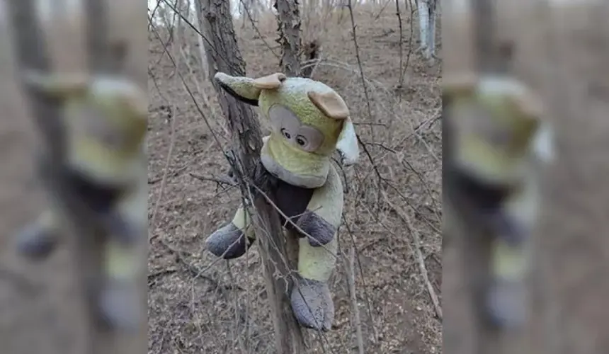 VIDEO: ¿Ya conoces el callejón de los Peluches en Concordia, Sinaloa?