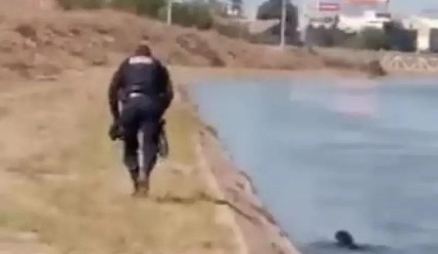 VIDEO: Policía salva a perrito de morir ahogado en Culiacán