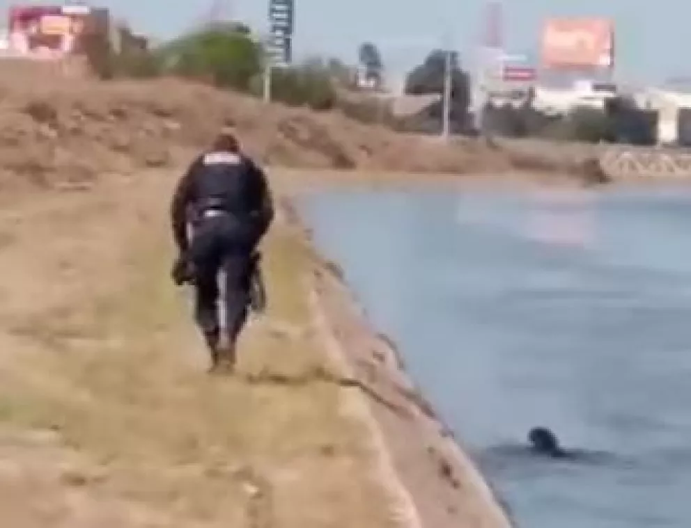 VIDEO: Policía salva a perrito de morir ahogado en Culiacán