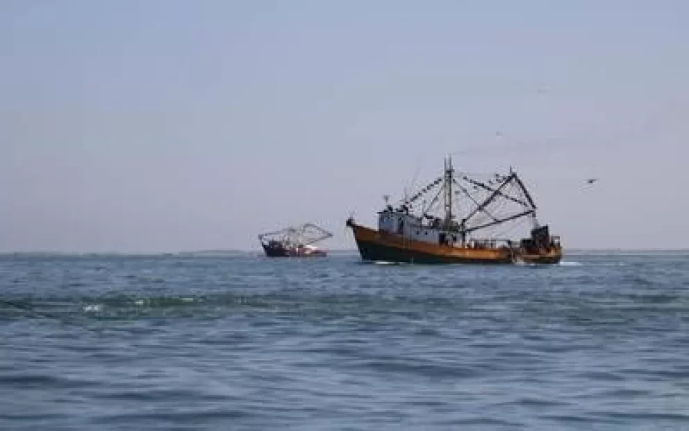 Unirán fuerzas en Sinaloa para retirar embargo al camarón silvestre