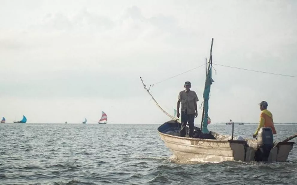 La Esperanza se Renueva: Inicio de la Pesca del Camarón en la Bahía de Altata