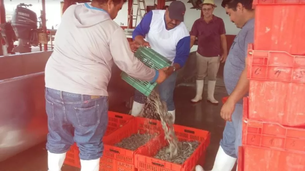 Positivo inicio de pesca en Las Puentes Villa Juárez