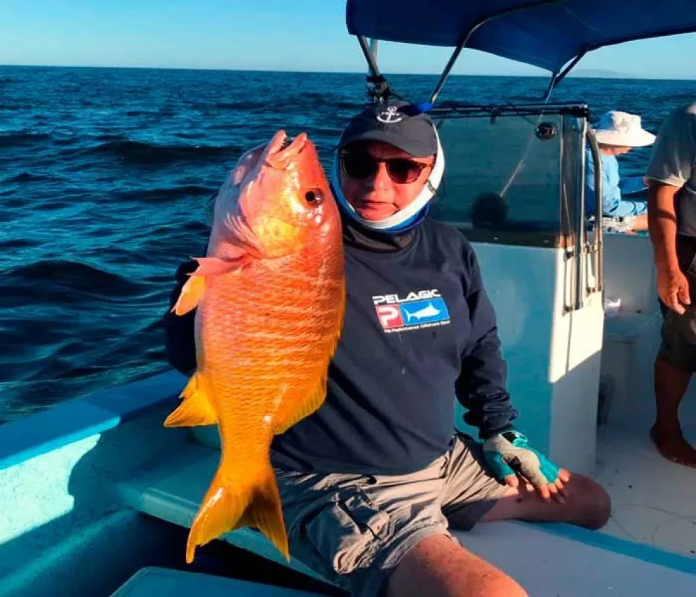 Y tú ¿sabes identificar el pescado que consumes?