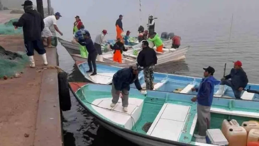 Perfil Socioeconómico de Navolato: Pesca