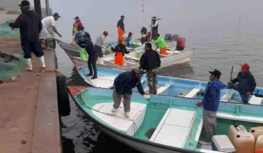 Perfil Socioeconómico de Navolato: Pesca