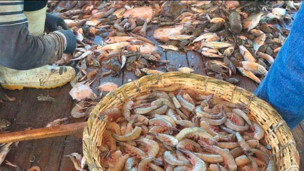 Amenaza cambio climático 84% de las pesquerías de México
