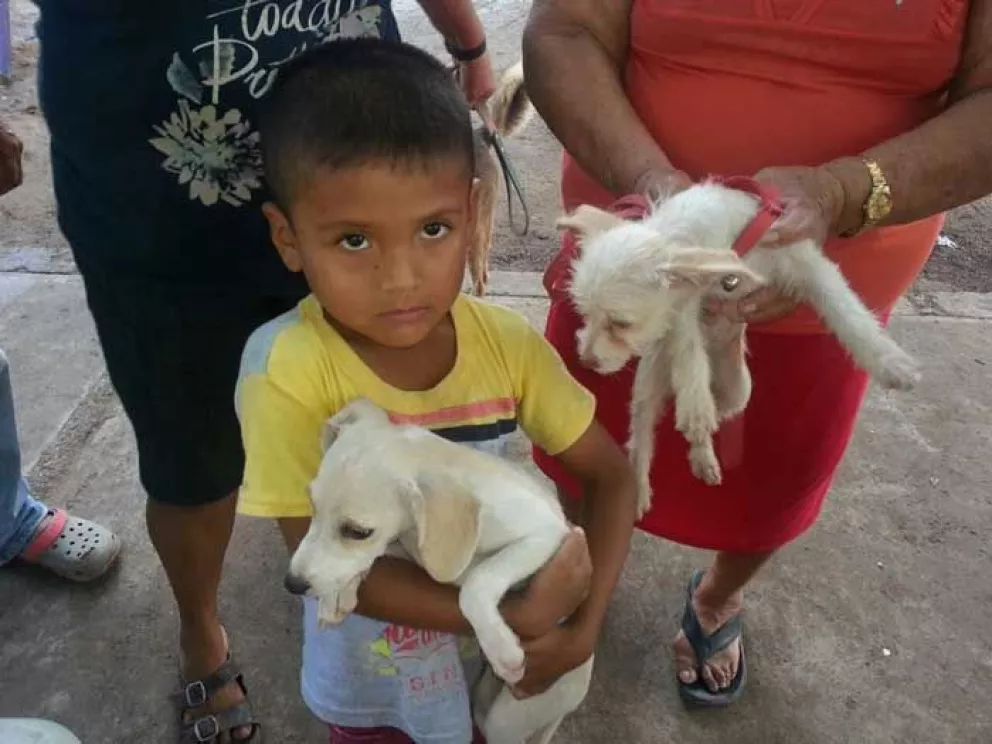 Piden ayuda para personas y mascotas en Villa Juárez