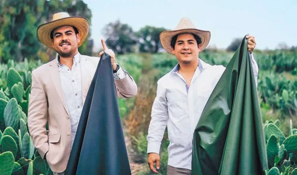 Jóvenes mexicanos crean piel de nopal