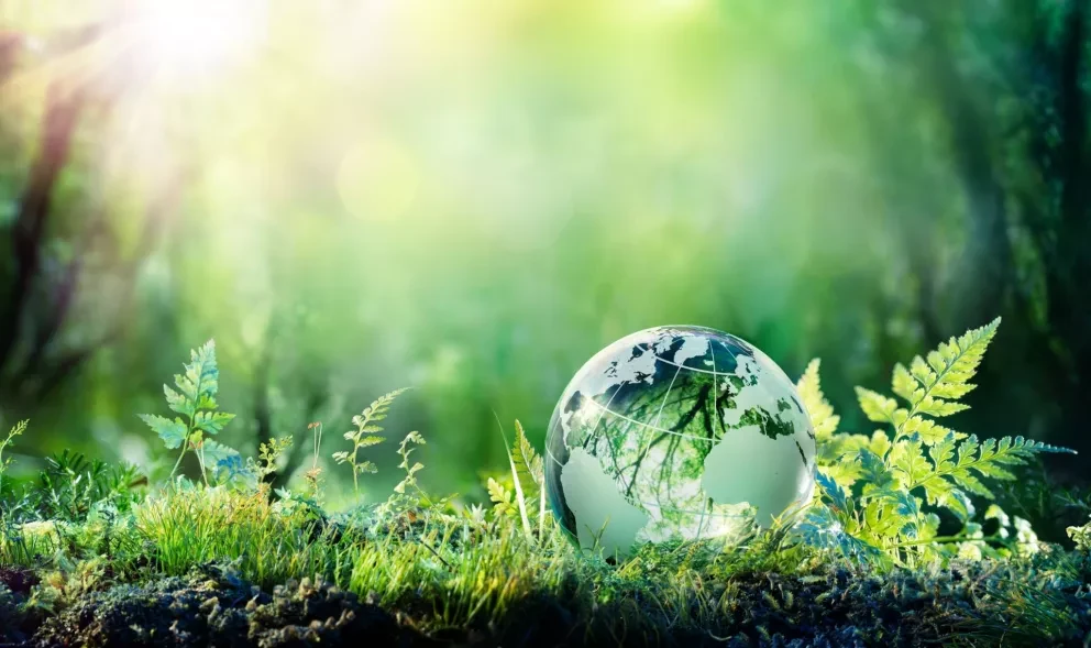 5 tips para salvar al planeta