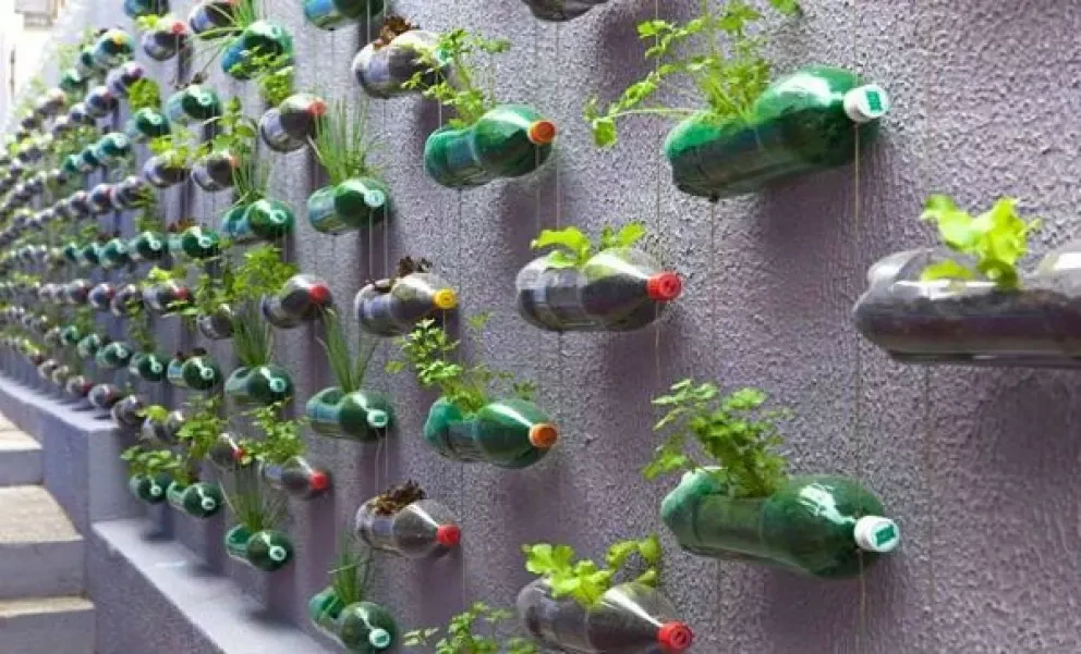 Compañías que desarrollan empaques sustentables en México
