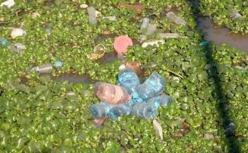 ¡Adiós bolsas de plástico y popotes Sinaloa!