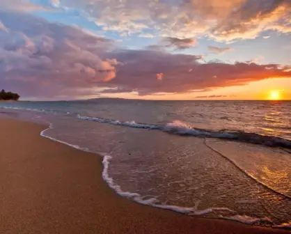 Venga a Sinaloa. Venga a gozar de sus hermosas playas