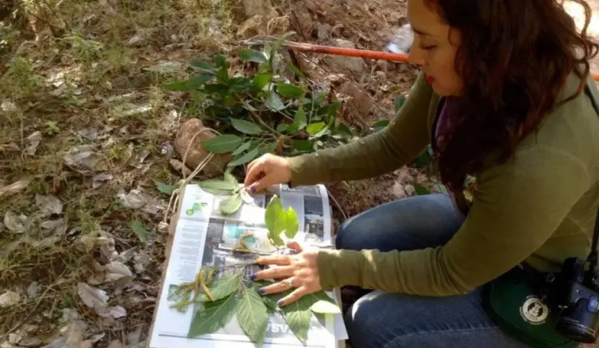 Entrevista con la directora científica de Jardín Botánico Culiacán