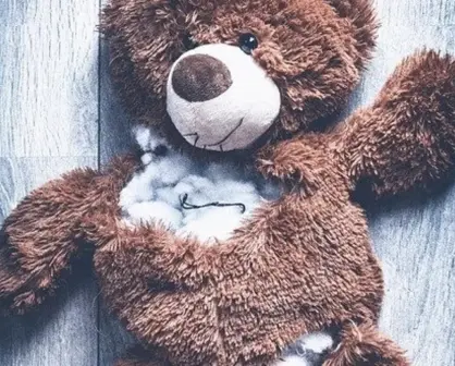 Llama la OMS a la prevención de la violencia y traumatismos