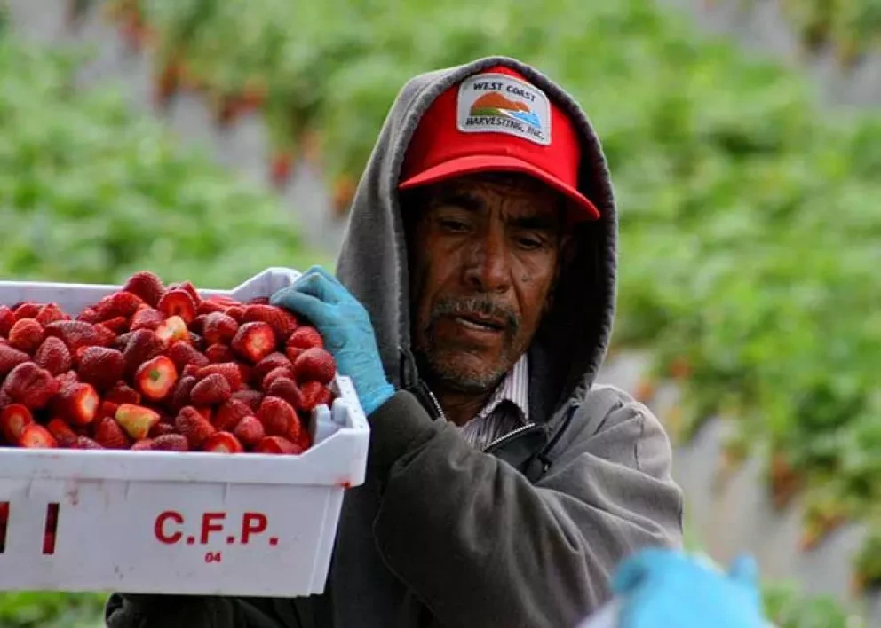 Histórico, recibe México 28 mil millones de dólares por remesas