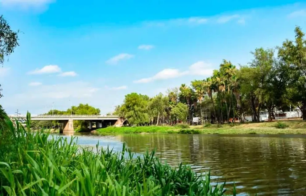 7 gestos para cuidar el medio ambiente