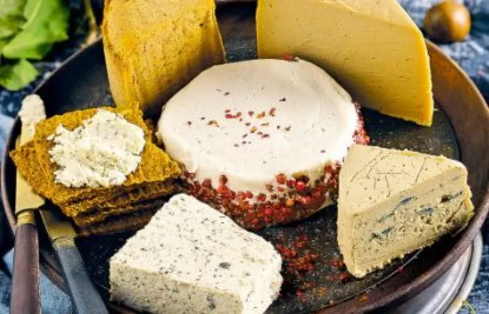 4 recetas para hacer queso a base de plantas