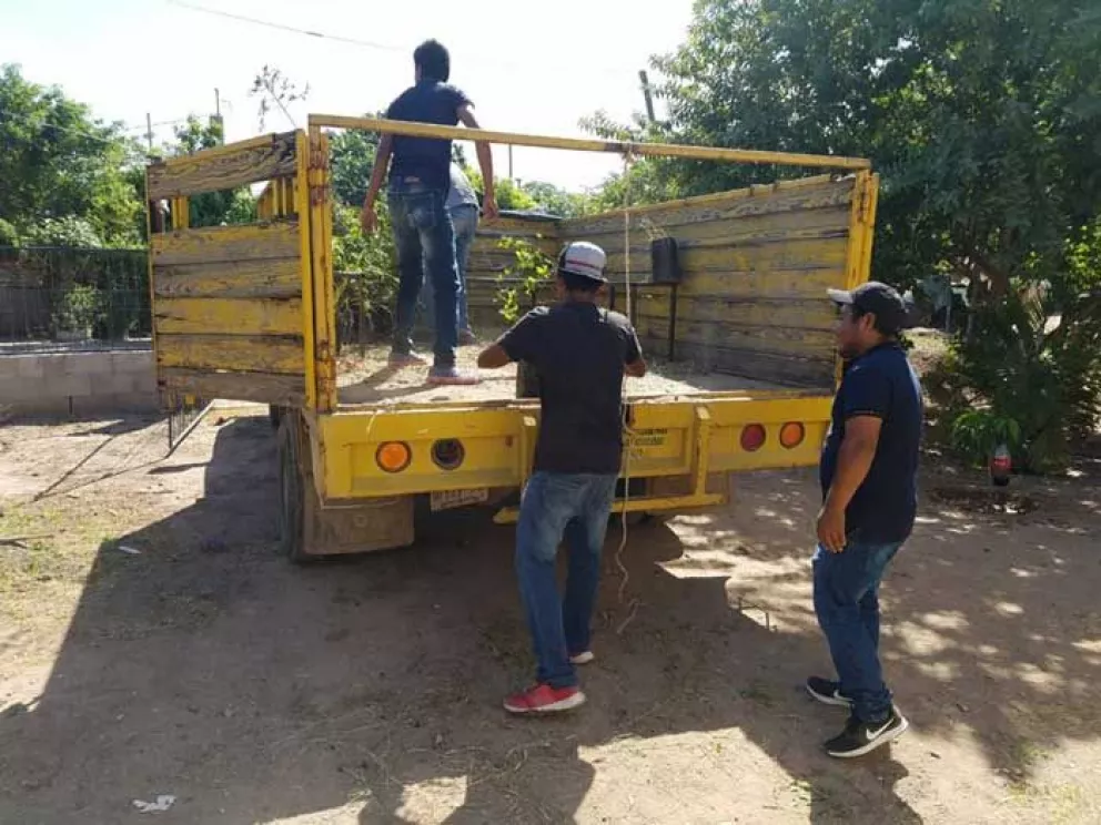 Realizarán la campaña de arborización Villa Juárez Verde