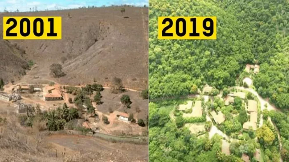 El hombre que plantó 2 millones de árboles para reforestar su pueblo
