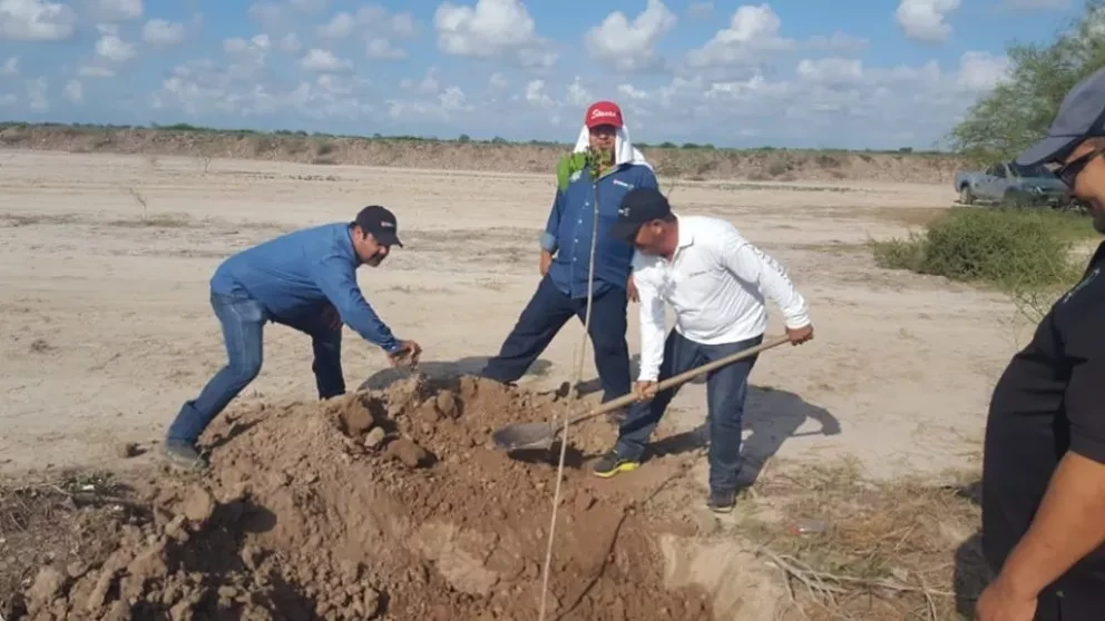 Campaña de Reforestación en Navolato