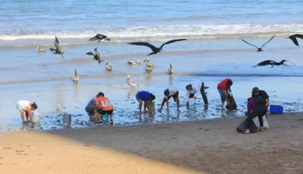 Pescadores regalan peces en playa de Mazatlán. ¿Por qué la pesca abundante?