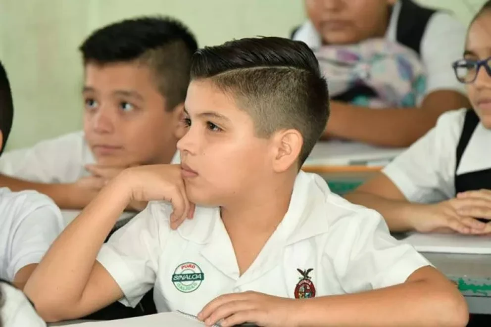¿No sabes cómo hacer la tarea? Paco el Chato te ayudará