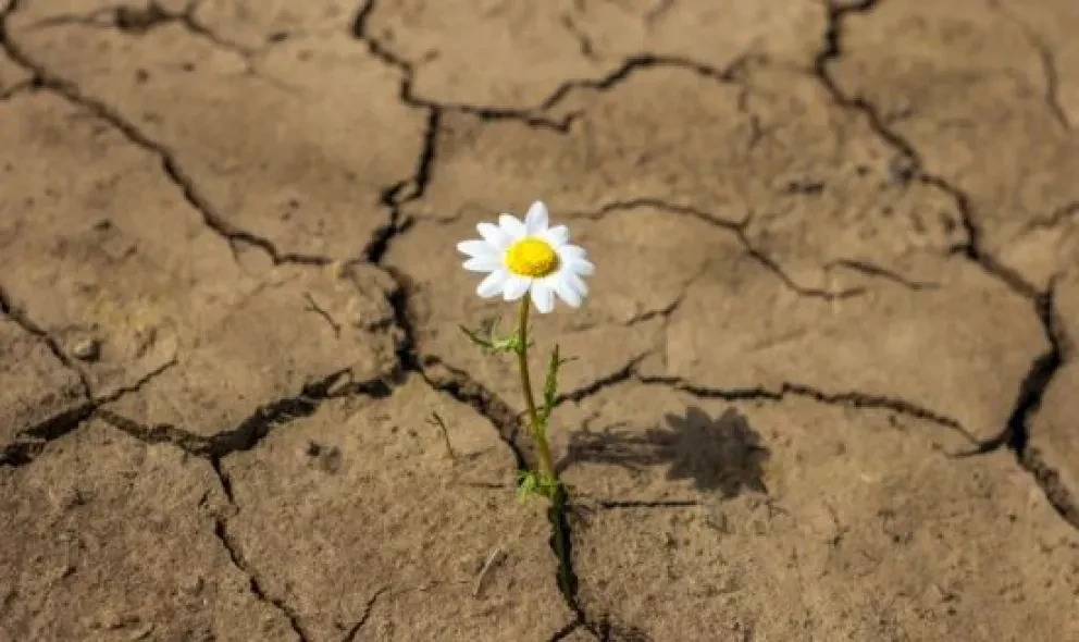 10 consejos para ser una persona más resiliente