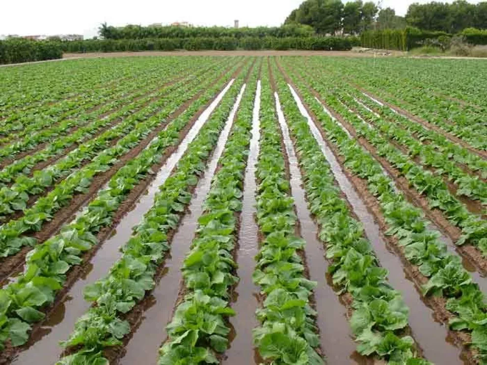 En Culiacán, primer foro sobre nueva Ley de Aguas Nacionales
