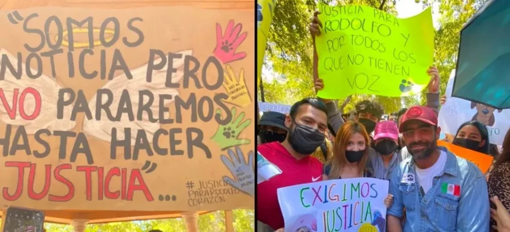 Políticas públicas para la protección de animales en México