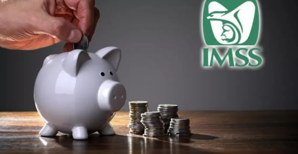 Guía para revisar tu salario registrado ante el IMSS