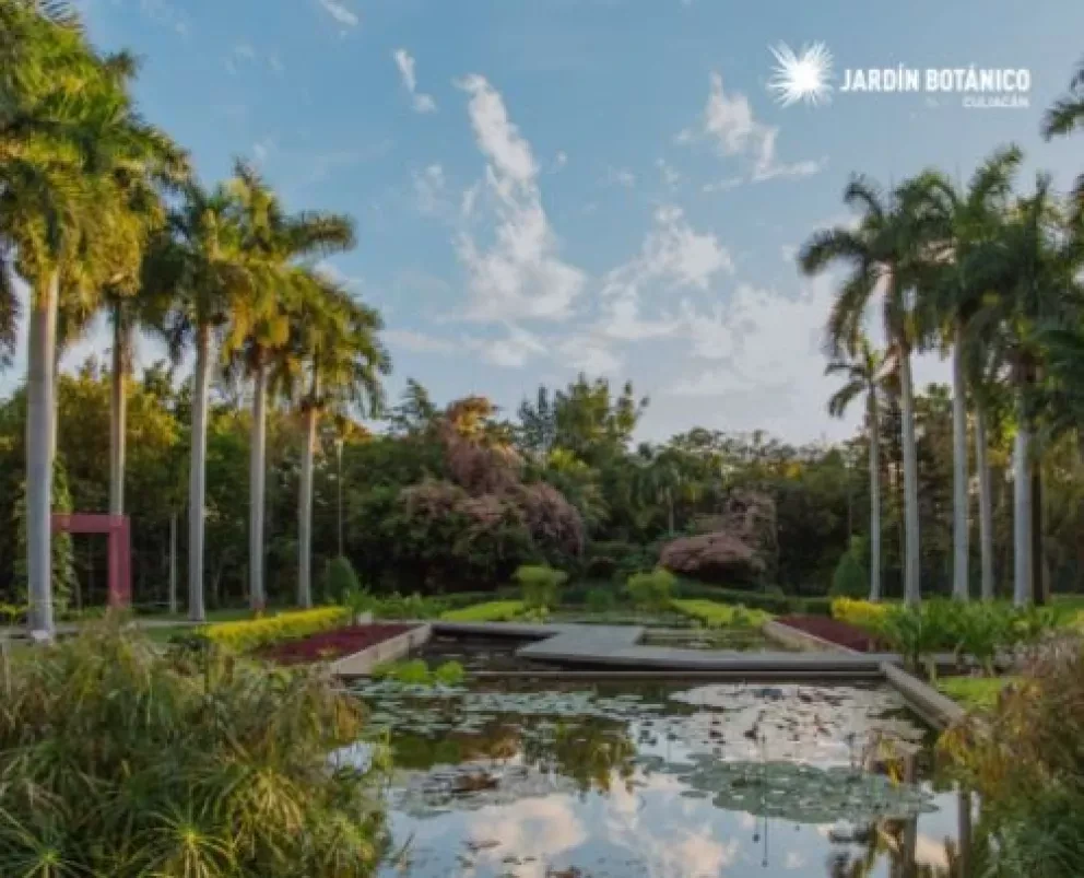 Semana del Arte en el Botánico: naturaleza y arte en un mismo lugar