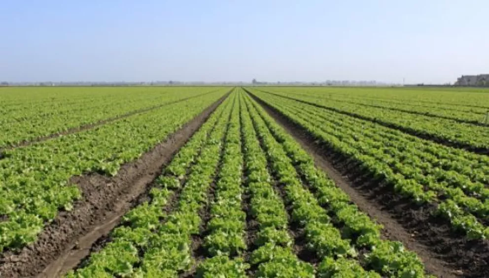 México rompe récord en superávit agrícola con Estados Unidos