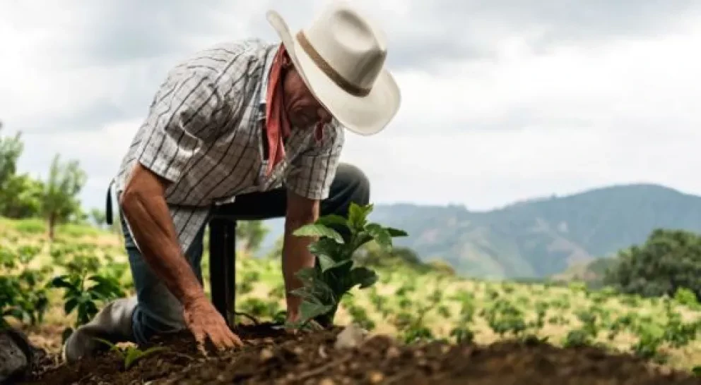 AMLO busca ampliar programa Sembrando Vida