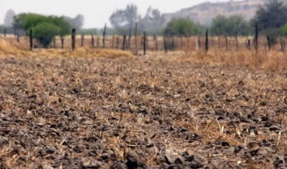 Ahorrar agua en tiempos de sequía se puede con estos tips