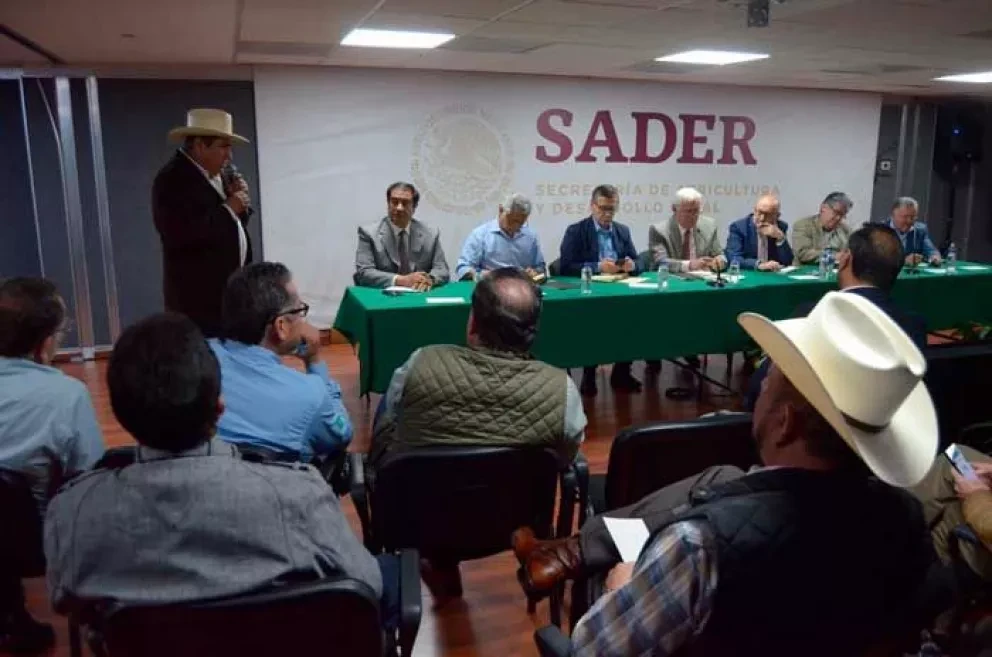 Será de 4 mil 150 pesos la tonelada de maíz de Sinaloa