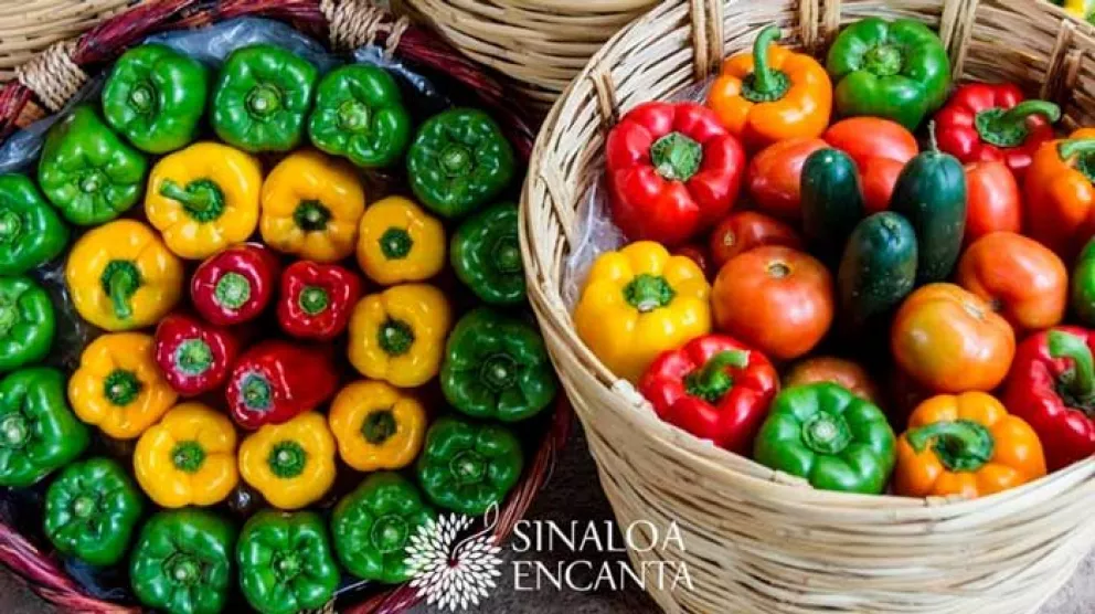 Gastronomía y negocios esencia de Sinaloa Encanta 2019