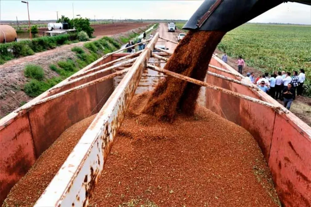 Queda Sinaloa en primer lugar en crecimiento económico de México