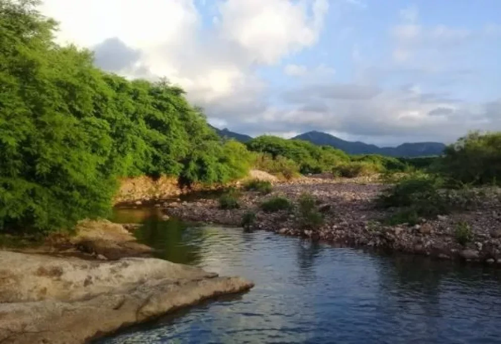 Tacuichamona, un misterio entre los montes