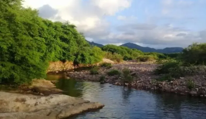 Tacuichamona, un misterio entre los montes