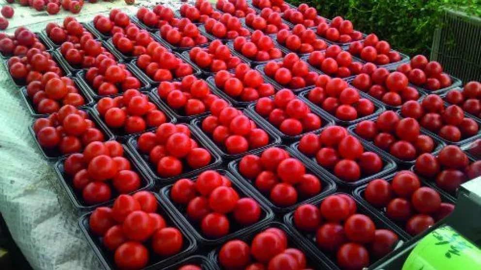 Suben Exportaciones sinaloenses a 2 mil 142 millones de dólares