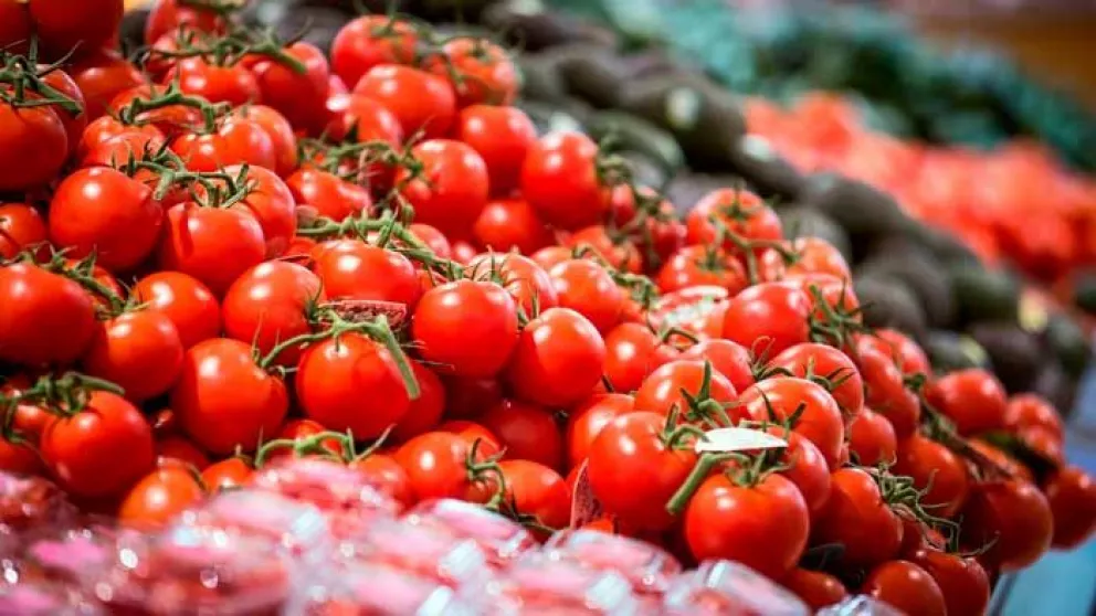 La propuesta de productores de tomate mexicanos a EUA