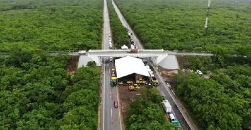Beneficios del Tren Maya en el sureste de México