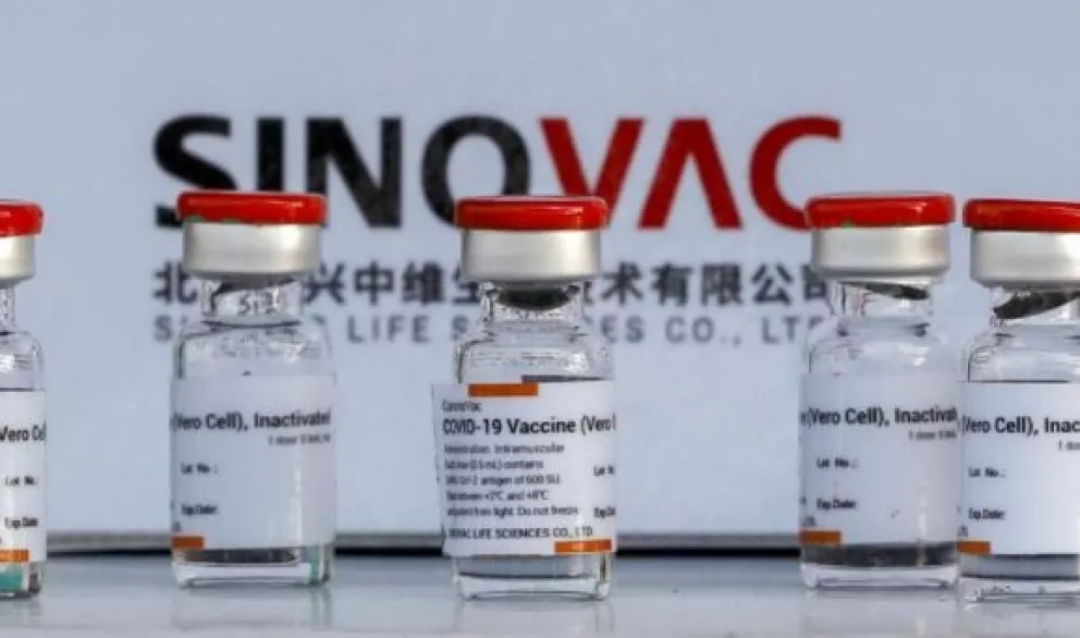 Conoce datos importantes sobre la vacuna Sinovac