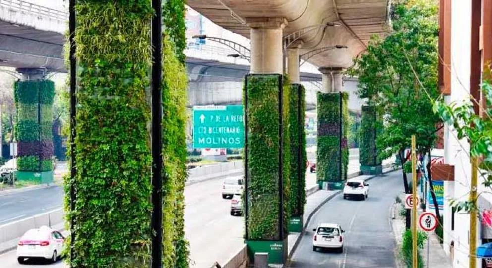 Vía Verde, el proyecto que oxigena el tráfico de México