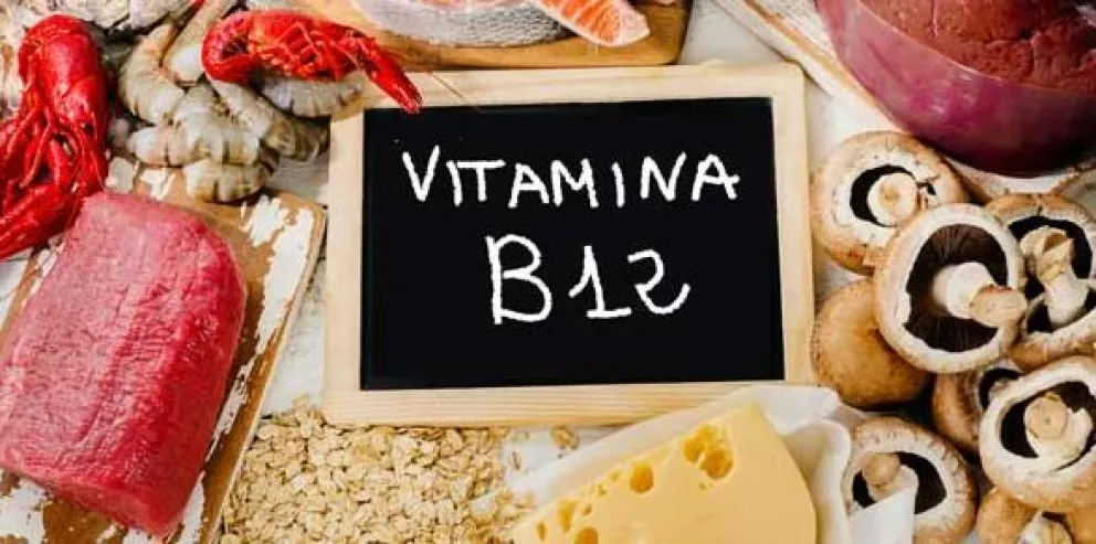 10 alimentos ricos en vitamina B12