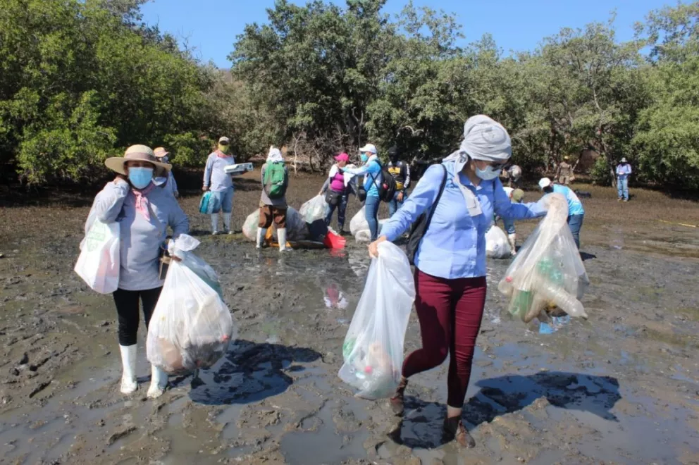Retiran 400 kilos de plástico de la Bahía Santa María