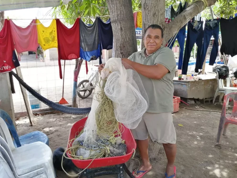 Mañana se levanta la veda de camarón en bahías de Sinaloa