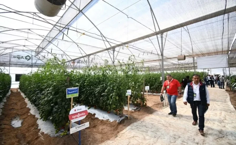 Hoy se inaugura la edición 30 de Expo Agro Sinaloa 2022